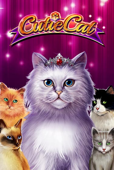 Cutie Cat от Gamomat демо версия | VAVADA без регистрации