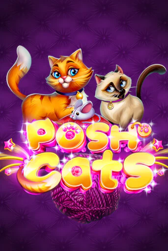 Posh Cats от Platipus демо версия | VAVADA без регистрации